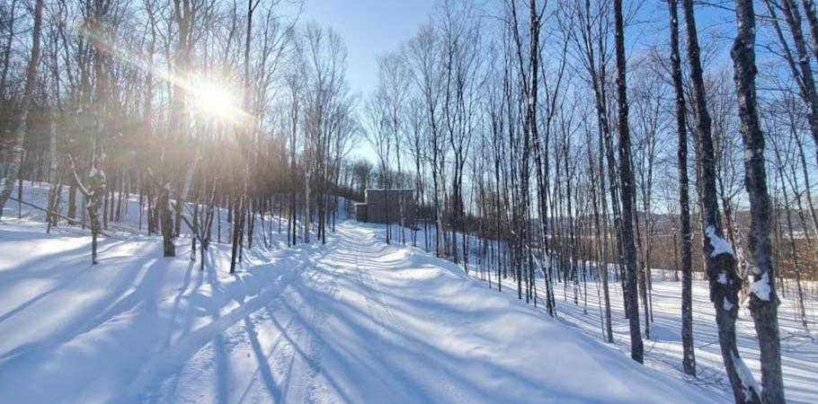 La Conception Chalet Serenity - Mont Tremblant Ski - Spa Sauna Wifi Tv Privet Chic Modern House 빌라 외부 사진