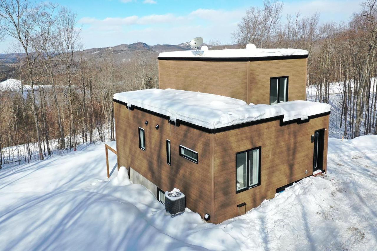 La Conception Chalet Serenity - Mont Tremblant Ski - Spa Sauna Wifi Tv Privet Chic Modern House 빌라 외부 사진